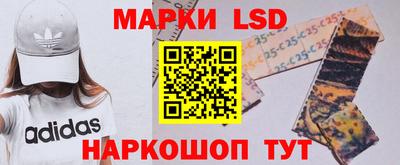 стаф Моздок