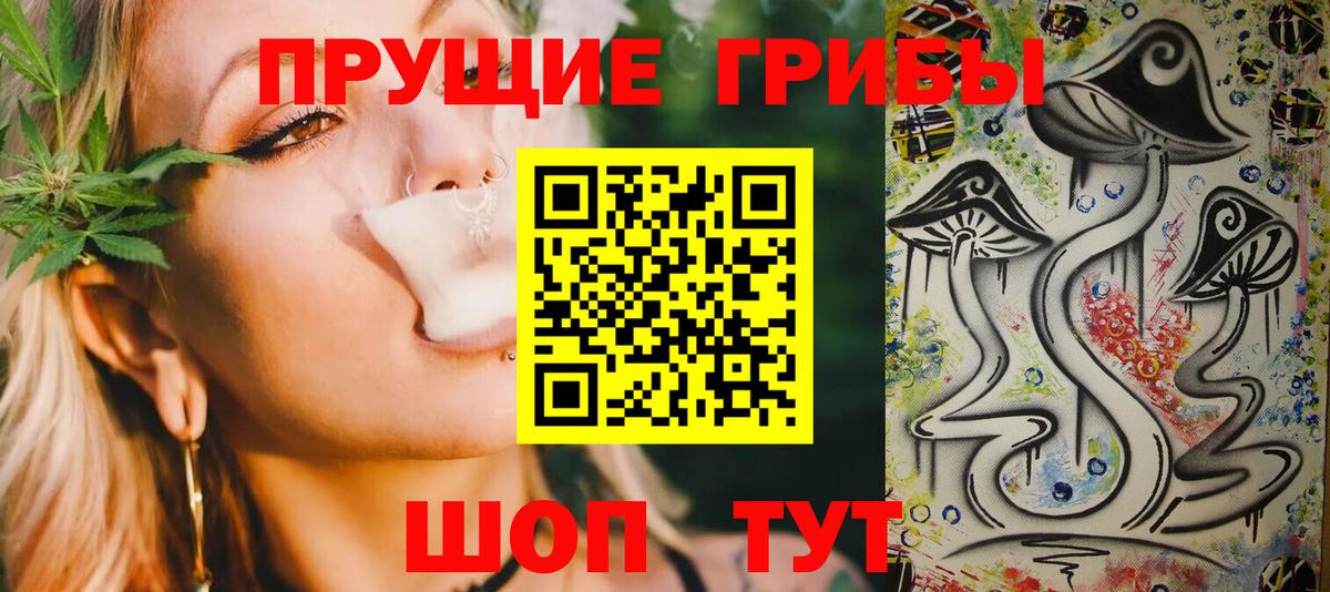 Псилоцибиновые грибы GOLDEN TEACHER Сергиев Посад